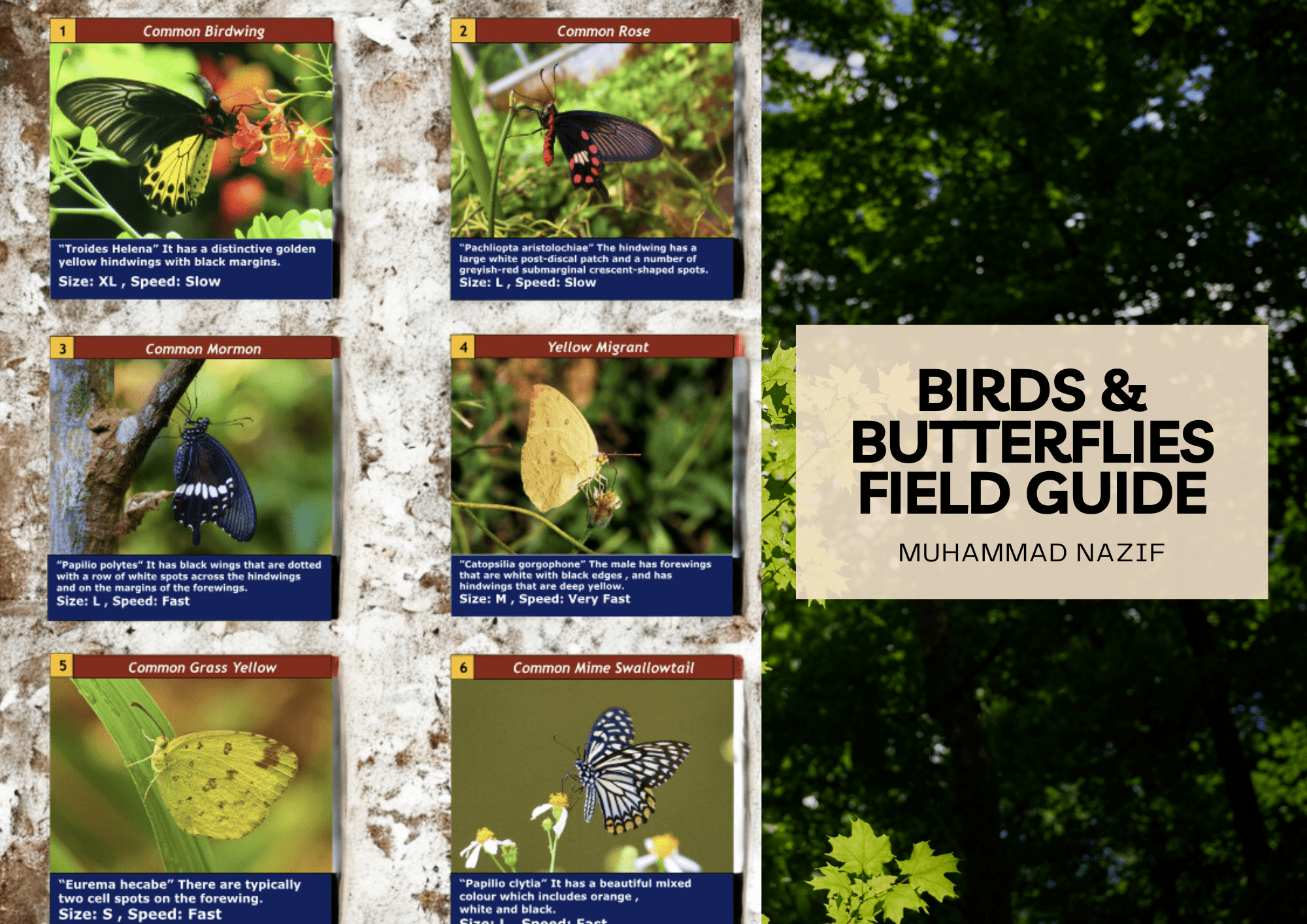 Bird & Butterfly Guide